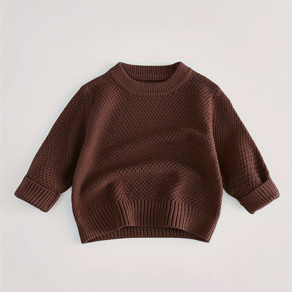 Baby's Solid Color Jacquard Sweater, Knitted Long Sleeve Top, Toddler & Infant Boy's Clothing For Fall Winter