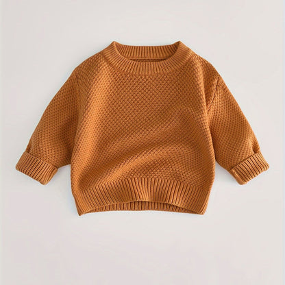 Baby's Solid Color Jacquard Sweater, Knitted Long Sleeve Top, Toddler & Infant Boy's Clothing For Fall Winter