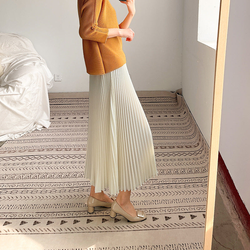 2025 hot-selling skirt medium and long spring and summer new irregular high-end temperament high-waisted pleated skirt long skirt a word