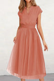 Celebrities Elegant Solid Mesh V Neck Princess Dresses