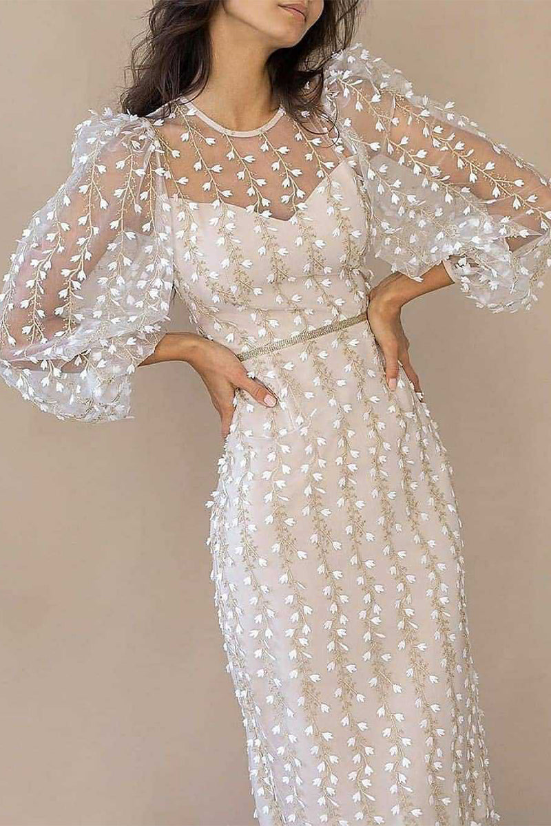 Celebrities Elegant Solid Embroidered See-through O Neck Bandage Dress Dresses