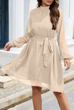 Elegant Solid Frenulum Turtleneck A Line Dresses