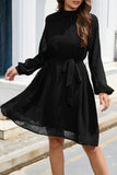 Elegant Solid Frenulum Turtleneck A Line Dresses