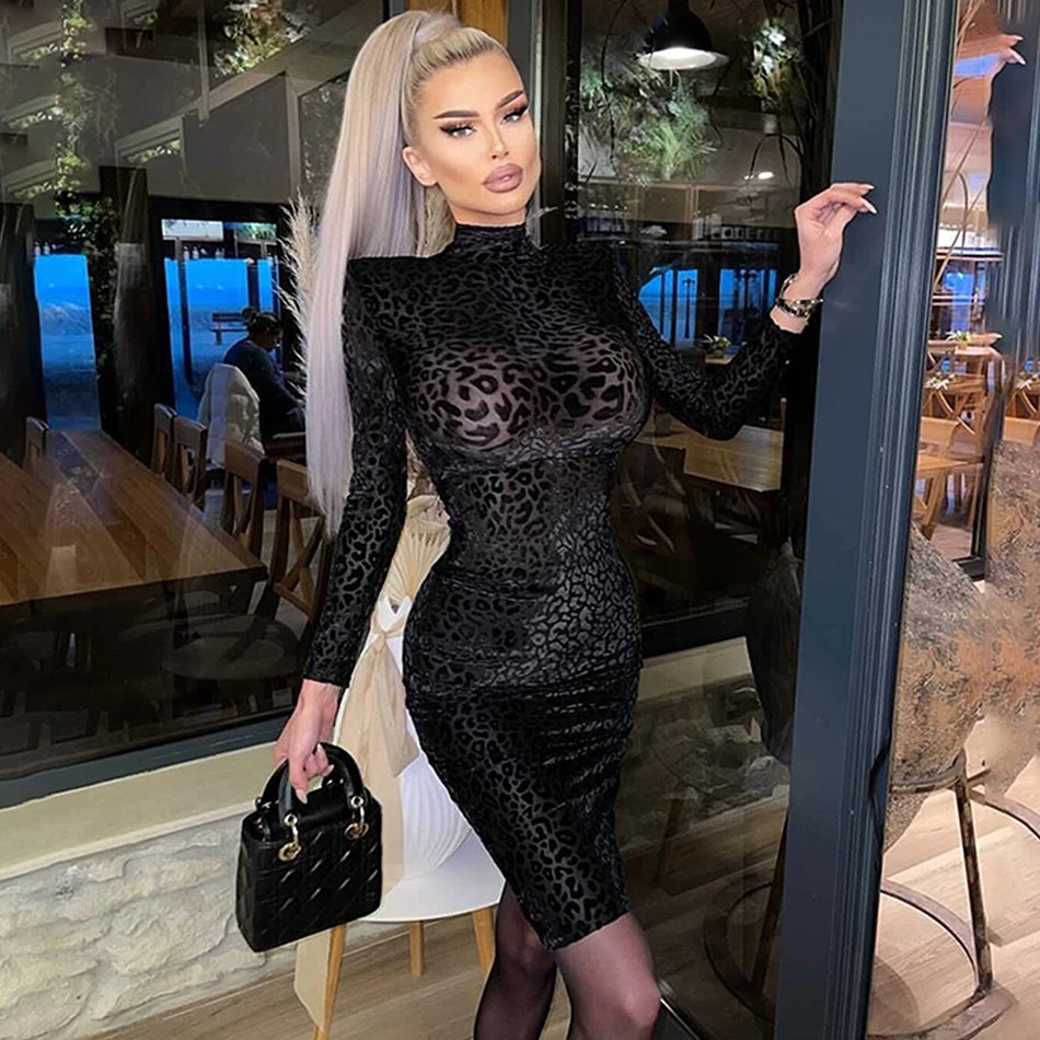 Sexy See-Through Leopard Print Dress Women High Neck Long Sleeve Bodycon Midi Dresses Club Female Evening Party Vestidos